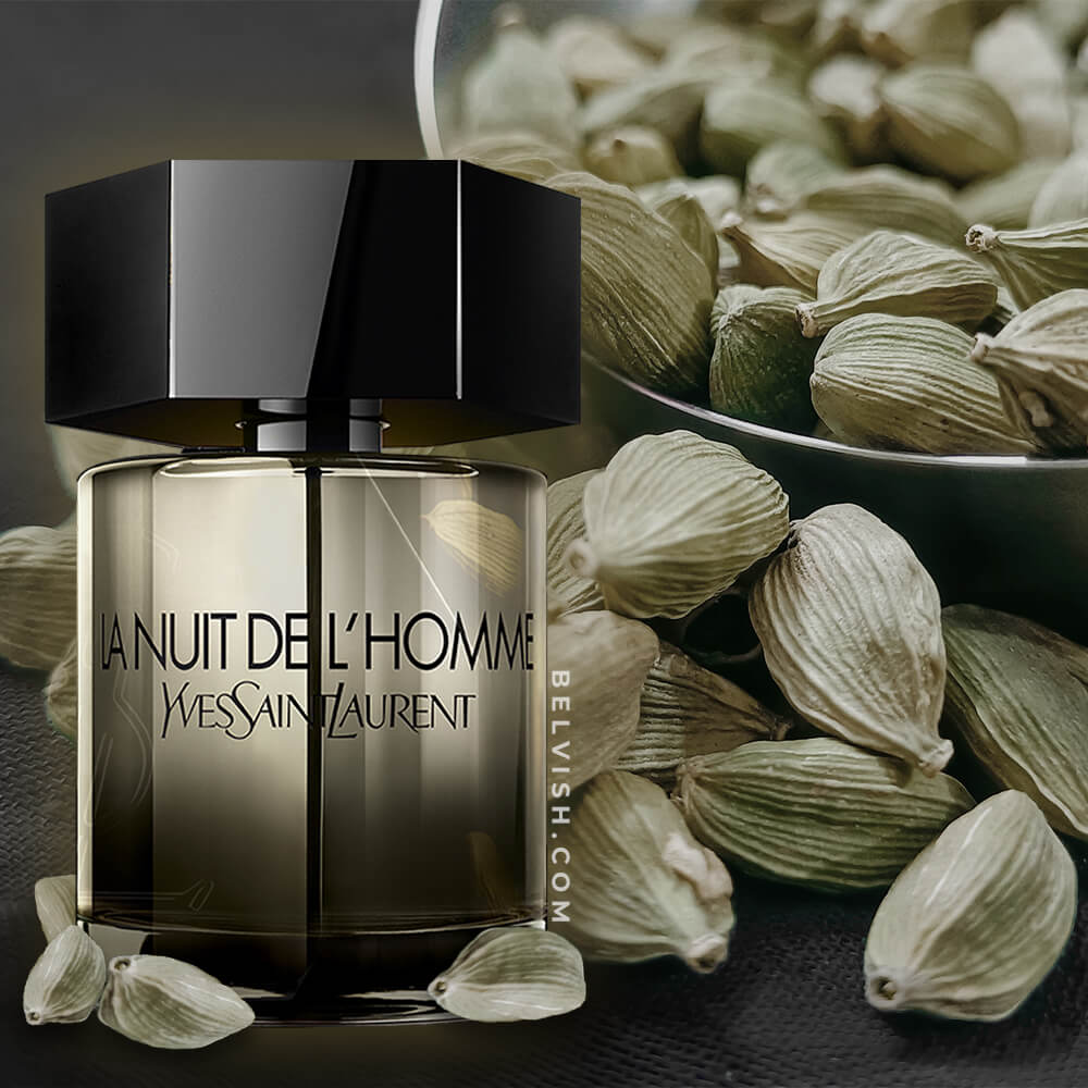 découvrez la nuit de l'homme d'yves saint laurent, un parfum envoûtant qui incarne l'élégance et la sensualité. ses notes boisées et épicées créent une allure mystérieuse, parfaite pour les soirées raffinées. laissez-vous séduire par cette fragrance emblématique qui évoque la séduction et le charisme.