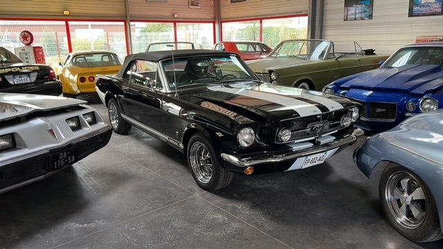 découvrez la mustang 1965 décapotable classique, un symbole intemporel de liberté et de performance. ce modèle iconique allie un design élégant à une puissance exceptionnelle, parfait pour les amateurs de voitures anciennes. plongez dans l'histoire de l'automobile avec cette magnifique décapotable qui évoque la nostalgie et le style des années 60.