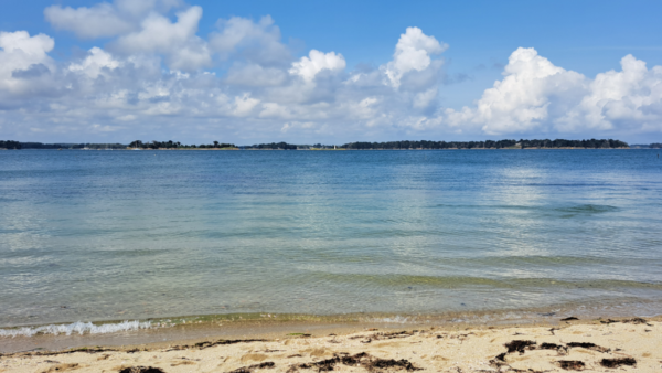découvrez quiberon, joyau de la presqu'île bretonne, où la beauté des paysages côtiers se mêle à la richesse du patrimoine. entre plages de sable fin, falaises majestueuses et spécialités culinaires, vivez une expérience inoubliable au cœur de cette destination unique.
