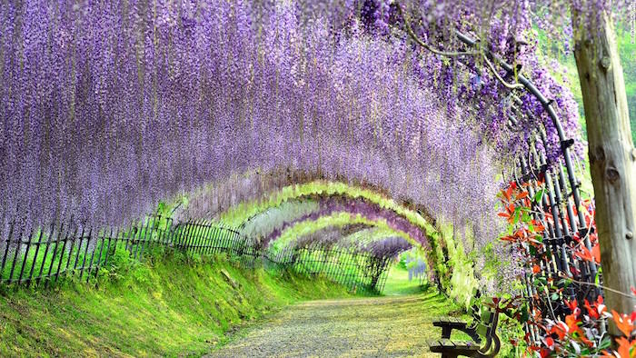 découvrez les merveilles du japon à travers notre guide de tourisme, incluant des destinations incontournables, des conseils pratiques et des expériences culturelles uniques. plongez dans l'histoire, la gastronomie et la beauté naturelle du pays du soleil levant.