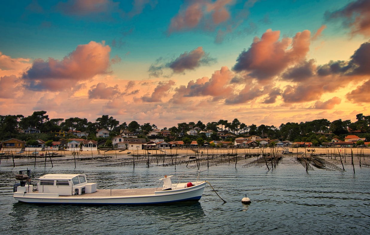 découvrez les meilleures activités à faire lors de votre week-end au bassin d'arcachon. entre balades sur la plage, visites de villages pittoresques et dégustations de spécialités locales, vivez des moments inoubliables dans ce lieu enchanteur.