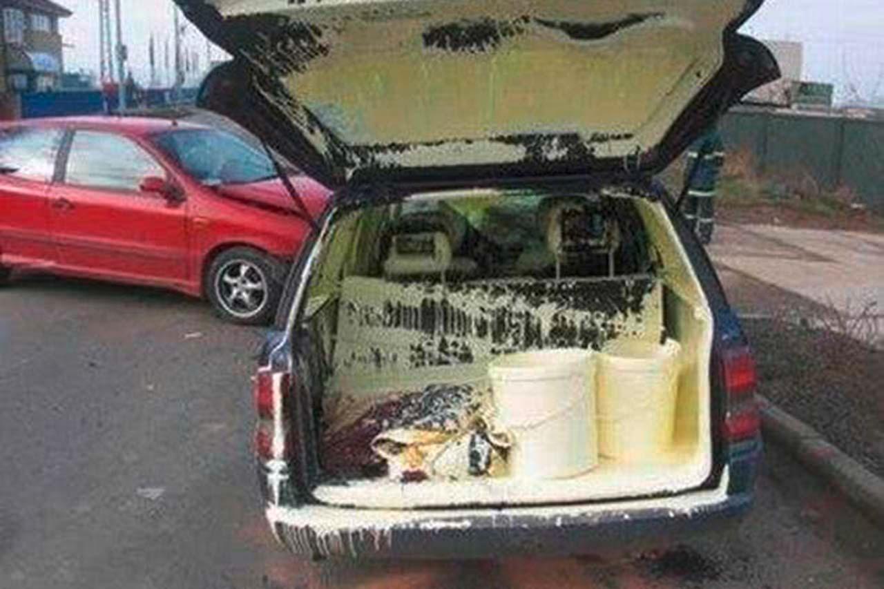 découvrez notre sélection de peintures utilitaires à petit prix, idéales pour tous vos projets de rénovation et de décoration. profitez d'astuces et de conseils pour choisir la peinture qui correspond à votre budget et à vos besoins!