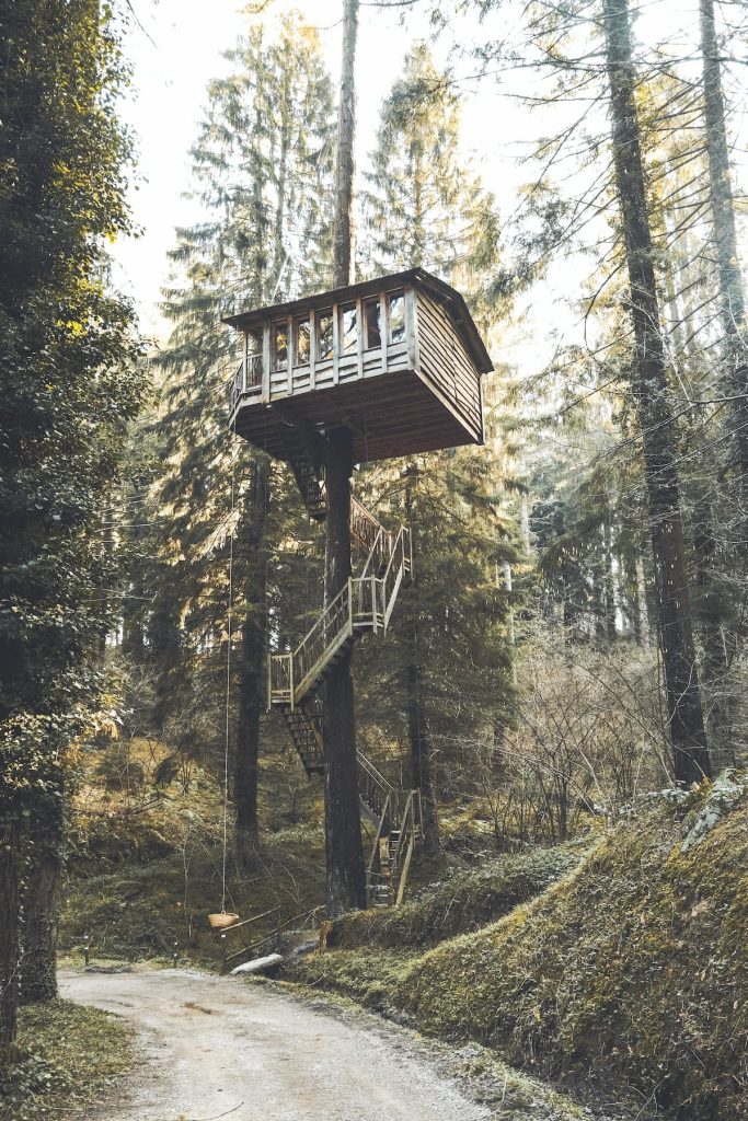 obtenez votre permis pour construire une cabane sauvage en pleine nature. découvrez les étapes incontournables, les conseils pratiques et les réglementations à respecter pour réaliser votre rêve d'évasion en autonomie dans les bois.