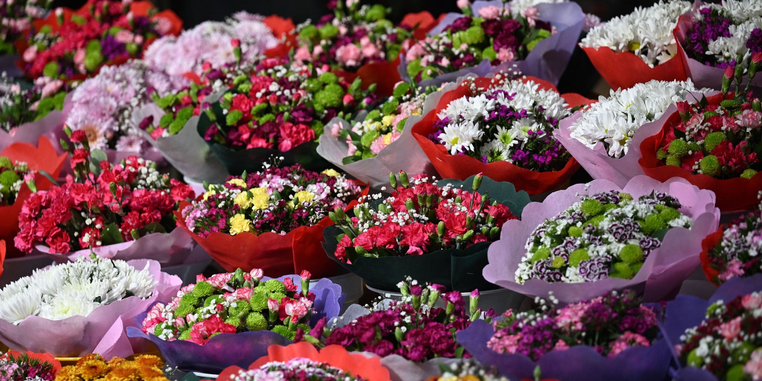découvrez des alternatives originales et romantiques pour célébrer la saint-valentin cette année. que vous soyez en couple, entre amis ou même célibataire, trouvez des idées uniques pour créer des moments mémorables et inoubliables.