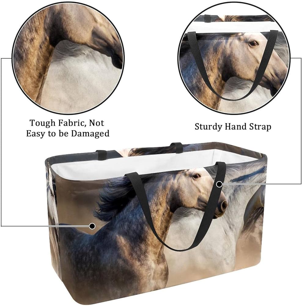 découvrez notre sélection de chevaux utilitaires, conçus pour répondre à vos besoins de transport. que ce soit pour des déplacements quotidiens ou des missions spécifiques, nos modèles allient performance, robustesse et confort. explorez les options disponibles et trouvez le véhicule idéal pour votre activité.