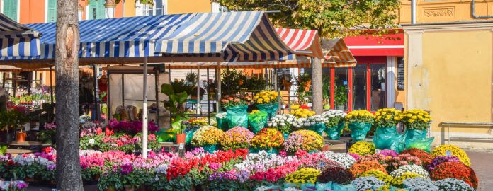 découvrez le marché de fleurs de l'hôtel de ville, un événement enchanteur où des fleurs colorées et parfumées se mêlent à l'atmosphère festive. idéal pour les amoureux de la nature et les passionnés de jardinage, ce marché offre une variété captivante de plantes, fleurs et conseils d'experts pour embellir vos espaces.
