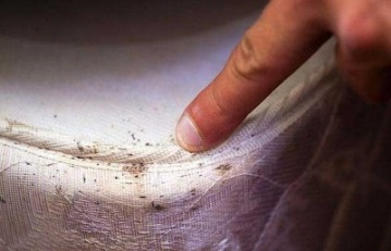 découvrez comment la présence de punaises de lit dans les bus peut affecter votre trajet et comment prévenir ces nuisibles. informez-vous sur les signes d'infestation et les mesures à prendre pour garantir un voyage en toute sérénité.