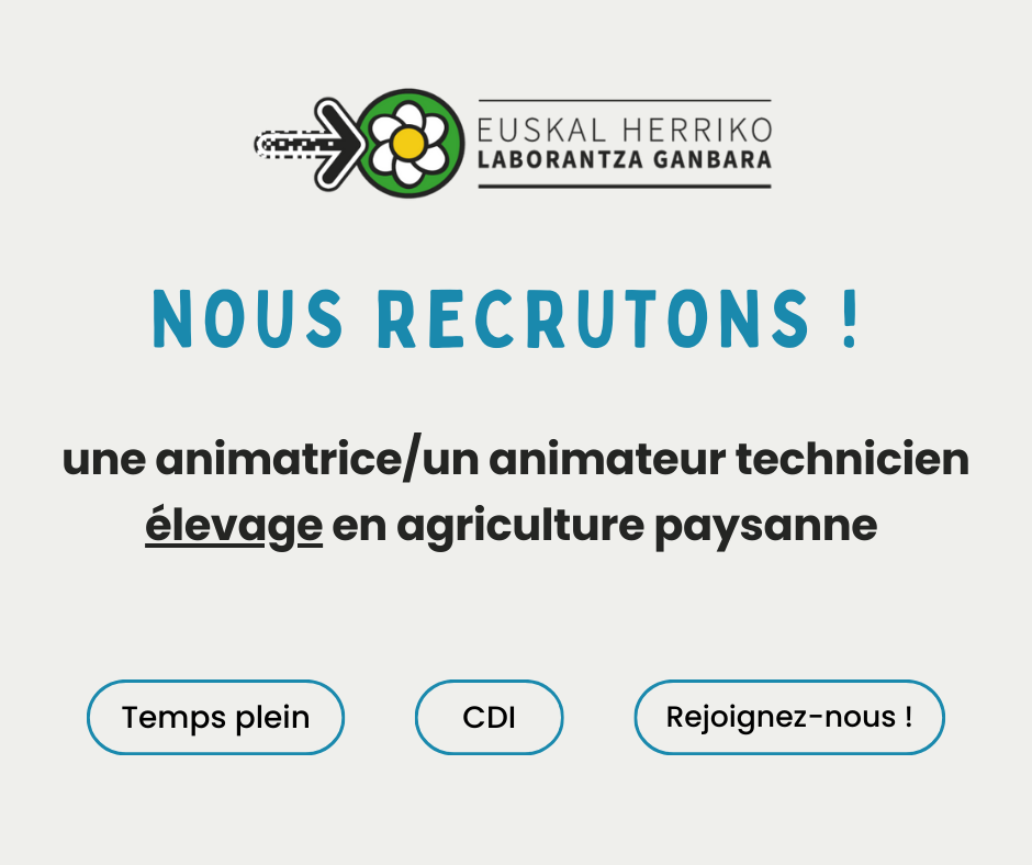 découvrez comment le recrutement durable transforme le monde du travail en intégrant des pratiques éthiques et responsables. apprenez à attirer des talents soucieux de l'environnement et à bâtir une équipe engagée pour un avenir plus durable.