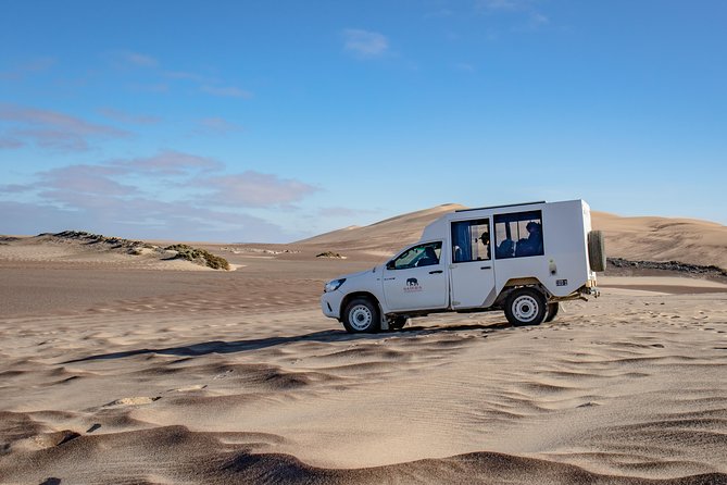 découvrez un road trip inoubliable de 11 jours en namibie, à travers des paysages époustouflants, des parcs nationaux emblématiques et des rencontres uniques avec la faune sauvage. parfait pour les aventuriers et les amoureux de la nature !