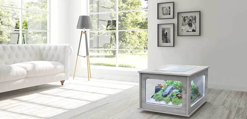 découvrez notre avis sur la table basse aquarium, un meuble à la fois tendance et original qui allie design et fonctionnalité. plongez dans un univers aquatique tout en profitant d'un espace convivial.