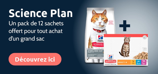 découvrez notre guide complet sur le compte client chronovet. apprenez à gérer vos informations, accéder à vos services et optimiser votre expérience vétérinaire en ligne. simplifiez votre vie quotidienne avec nos conseils pratiques.