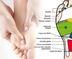 découvrez les contre-indications de la réflexologie plantaire pour optimiser votre bien-être. informez-vous sur les situations à éviter et les précautions à prendre afin de bénéficier pleinement de cette pratique traditionnelle sans risques pour votre santé.