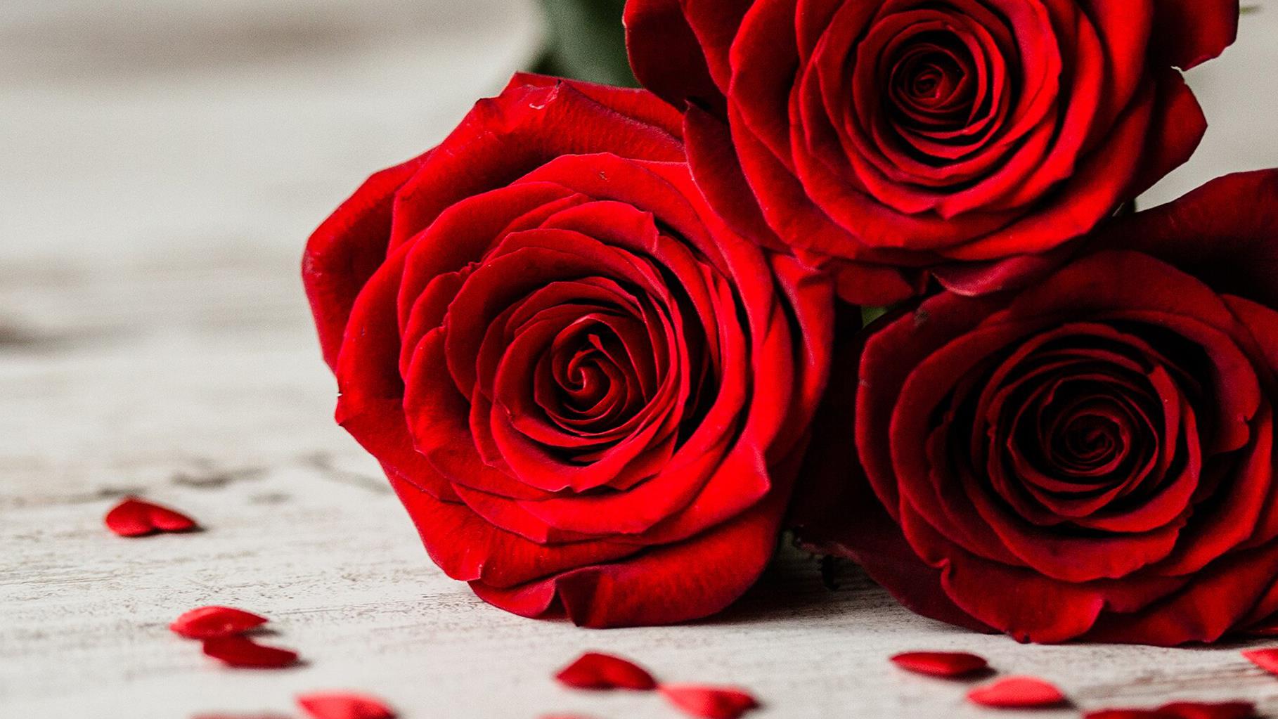 célébrez la saint-valentin avec amour et créativité ! découvrez des idées de cadeaux romantiques, des/avis sur les meilleures destinations pour un week-end en amoureux, et des conseils pour rendre cette journée inoubliable.