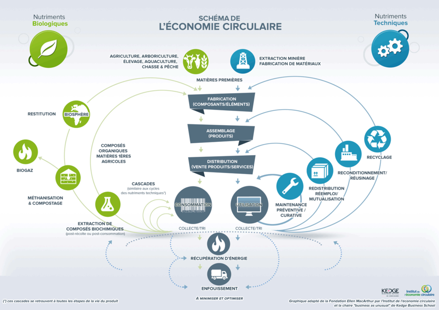 découvrez comment campsider intègre l'économie circulaire dans ses pratiques durables. explorez des initiatives innovantes pour réduire l'impact environnemental tout en profitant d'une expérience enrichissante en pleine nature.