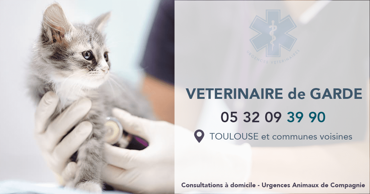 découvrez les tarifs des consultations à l'école vétérinaire. profitez de services de qualité pour la santé de vos animaux dans un cadre professionnel et pédagogique.