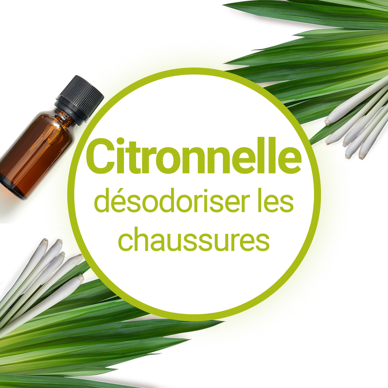 découvrez des méthodes naturelles et efficaces pour désinfecter vos chaussures en éliminant bactéries et mauvaises odeurs sans produits chimiques. astuces simples pour une hygiène parfaite au quotidien !