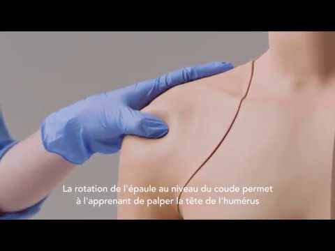 découvrez l'essentiel sur l'infiltration de l'épaule et son impact sur la reprise du travail : indications, déroulement, délais de récupération et précautions à prendre pour un retour serein.