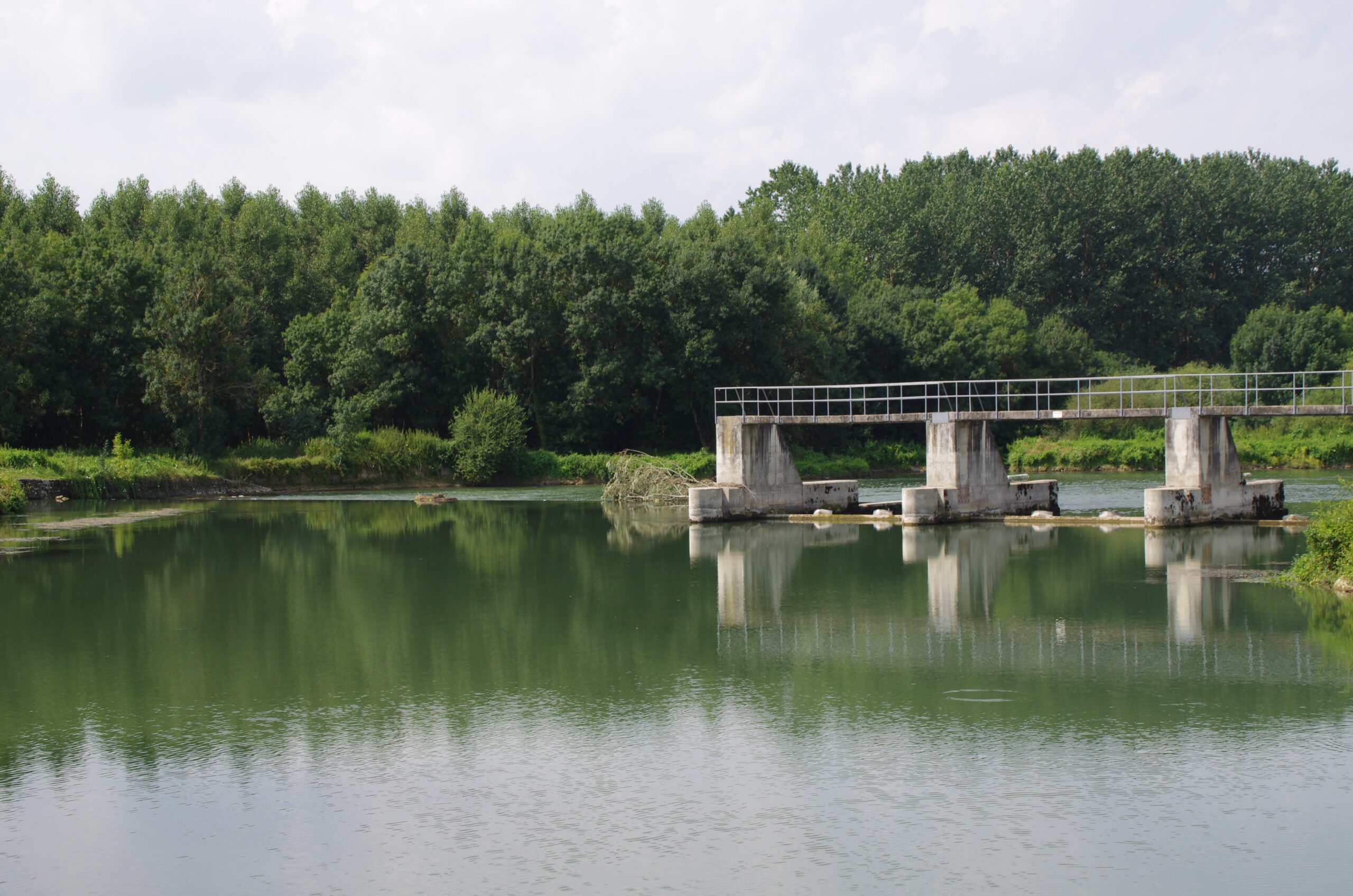 découvrez les derniers conseils municipaux de saint-sever : compte-rendus, décisions importantes, projets en cours et vie locale. restez informé sur l’actualité municipale de votre commune.
