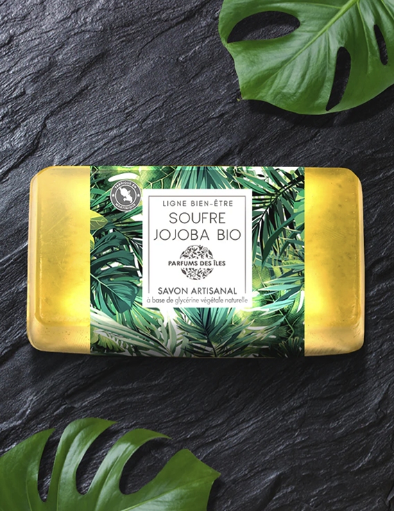 découvrez notre gamme de savons artisanaux bio, fabriqués à la main avec des ingrédients naturels et respectueux de l'environnement. offrez à votre peau un soin doux et écologique tout en soutenant l'artisanat local.