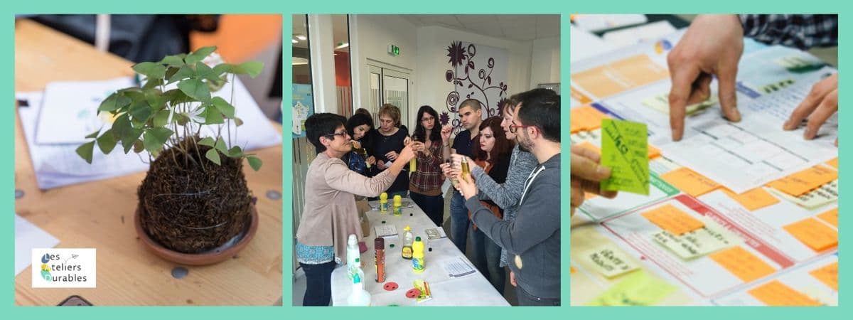 découvrez nos recommandations durables 2025 pour adopter des pratiques écoresponsables et contribuer à un avenir plus vert. conseils, innovations et solutions pour un impact positif sur l’environnement.