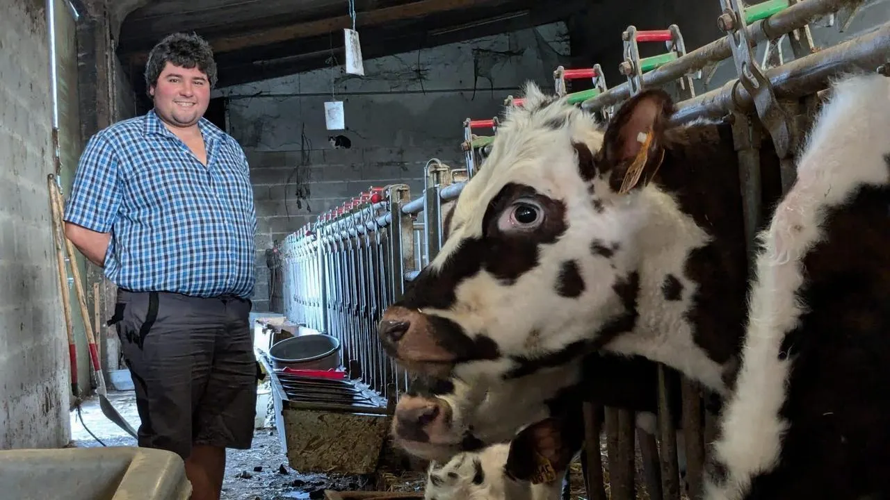 découvrez notre sélection de candidats pour la saint-valentin : idées originales, conseils et témoignages pour passer une fête mémorable en compagnie de l’élu(e) de votre cœur.