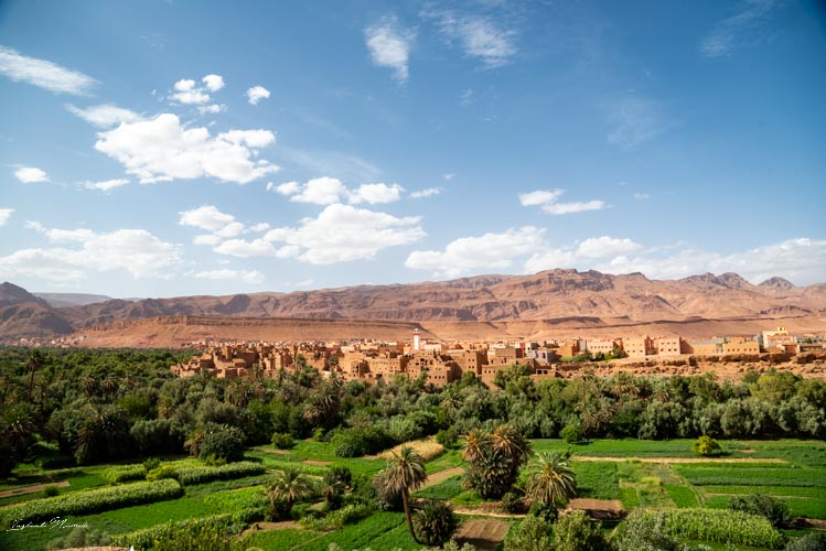 découvrez les meilleures excursions de dadès à tinghir : paysages époustouflants, gorges impressionnantes et villages authentiques. partez à l’aventure au cœur du sud marocain !