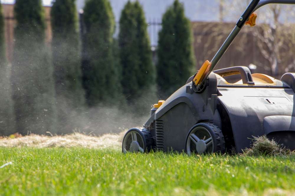 découvrez tout ce qu'il faut savoir sur les conditions d'utilisation d'un scarificateur : périodes conseillées, types de sol adaptés et conseils pour un entretien de pelouse efficace.