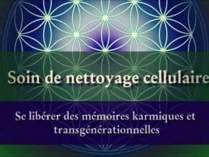 téléchargez notre guide pdf complet pour le nettoyage des mémoires karmiques et libérez-vous des blocages énergétiques. méthodes efficaces pour une transformation intérieure durable.