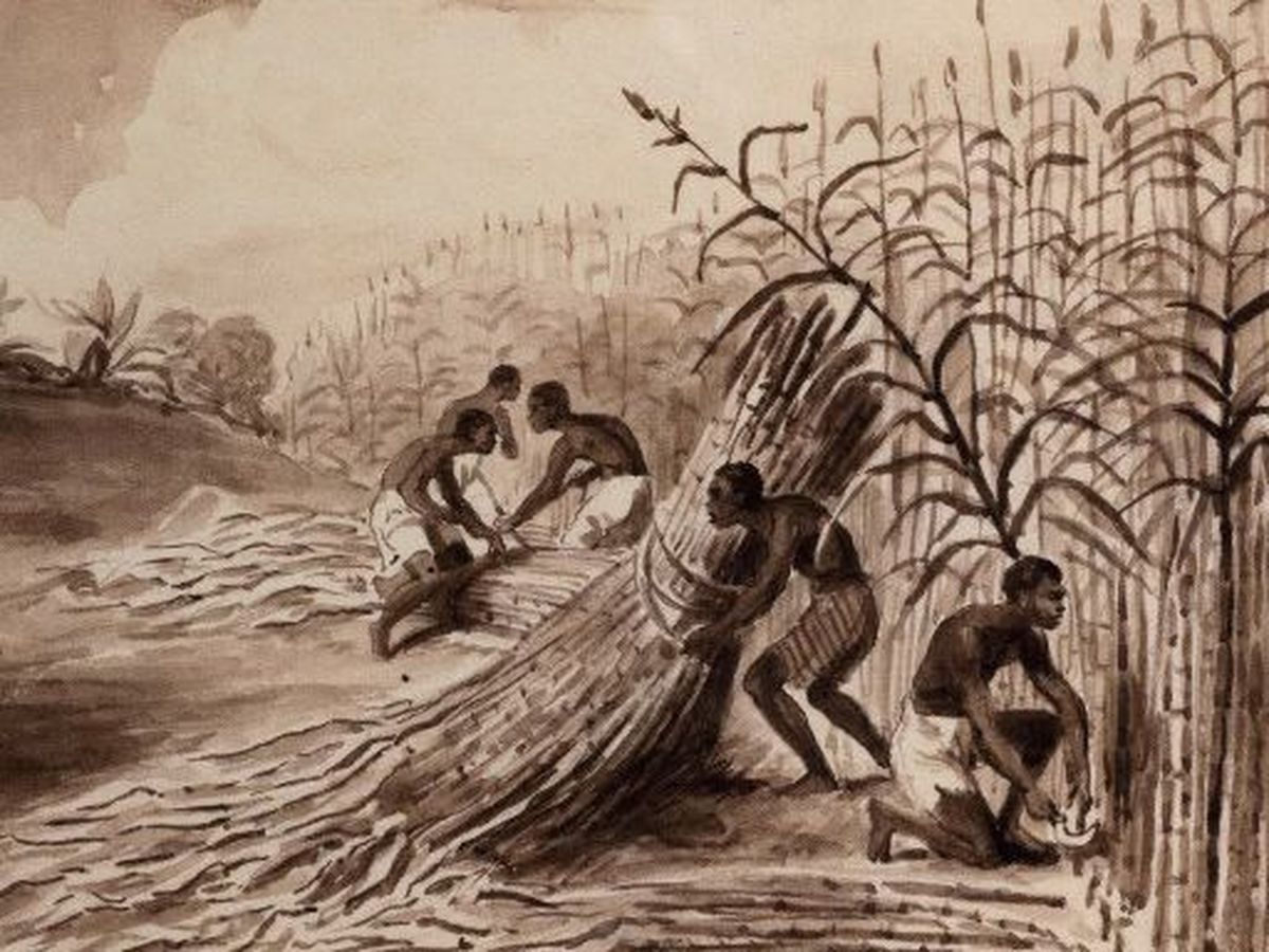 découvrez l'histoire de tippu tip, marchand influent et acteur majeur de la traite en afrique au 19ème siècle, explorant son rôle complexe dans le commerce et la dynamique de la région.