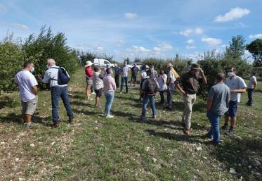 découvrez la passion trufficole à églises-d'argenteuil avec truffes d'argent, spécialistes des truffes d'exception et de leur culture traditionnelle.