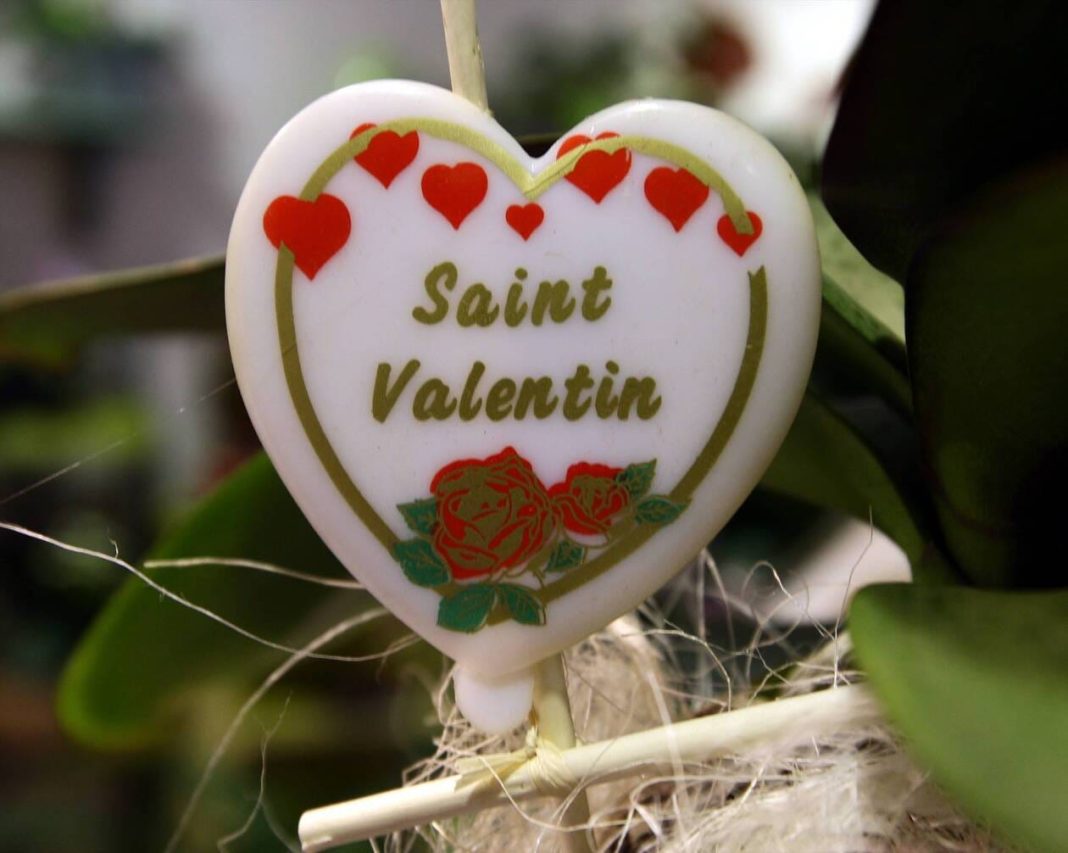 Exprimez tout votre amour pour la Saint-Valentin