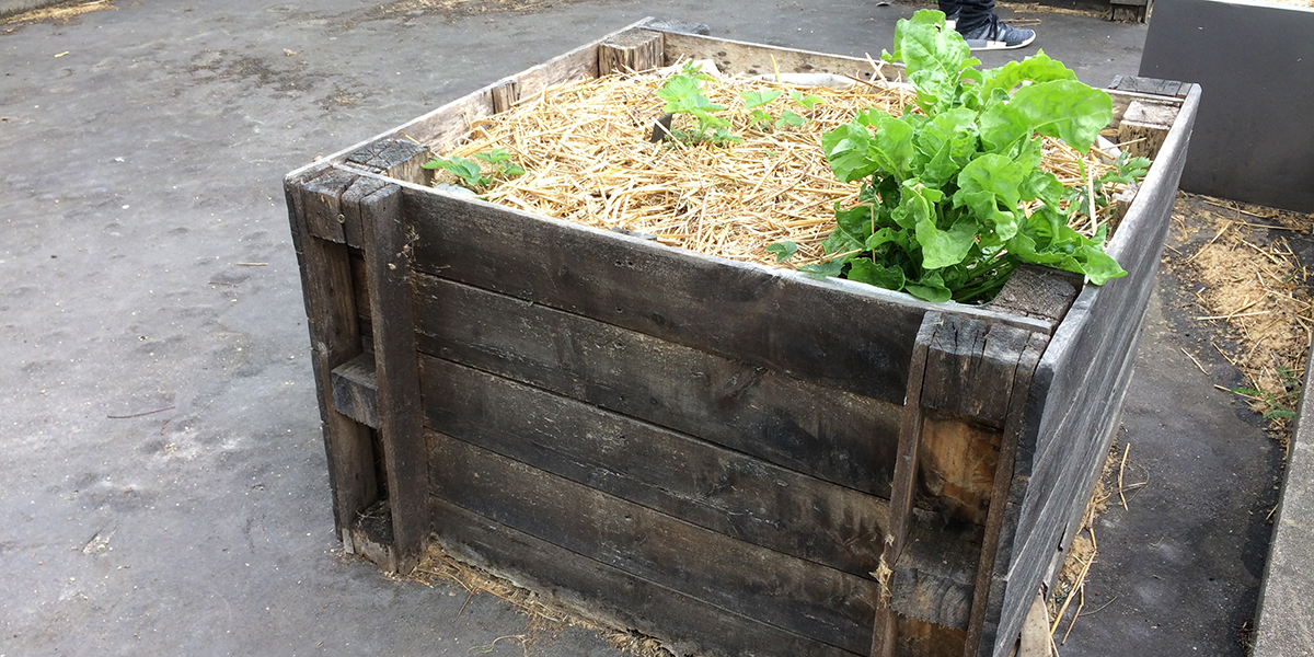 découvrez comment créer un potager en palettes grâce à notre guide complet et astuces pratiques pour cultiver facilement des légumes en milieu urbain.