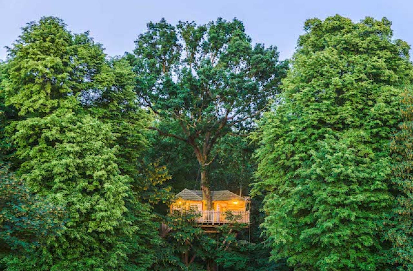 découvrez les meilleures escapades nature près de paris pour une pause ressourçante en pleine nature, à seulement quelques kilomètres de la capitale.